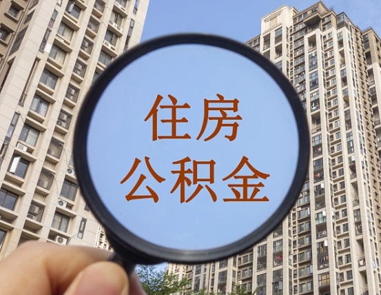 泉州退休后查不到公积金明细了吗（退休后公积金查询不到原因）